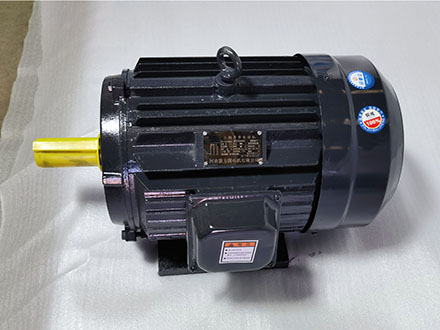 6132M型號3KW電機(jī)